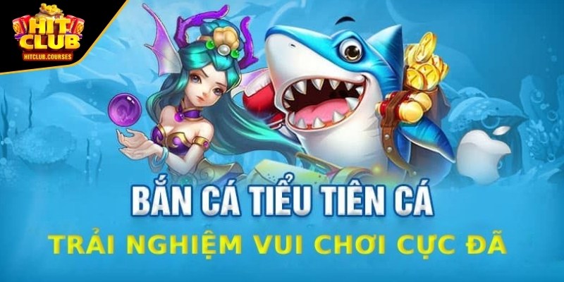 Khám phá thông tin game bắn cá tiểu tiên cá trực tiếp